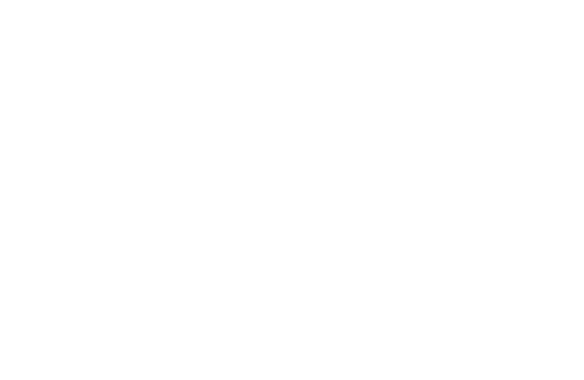 BiP Solutions